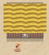 Barbarian and his hut-0