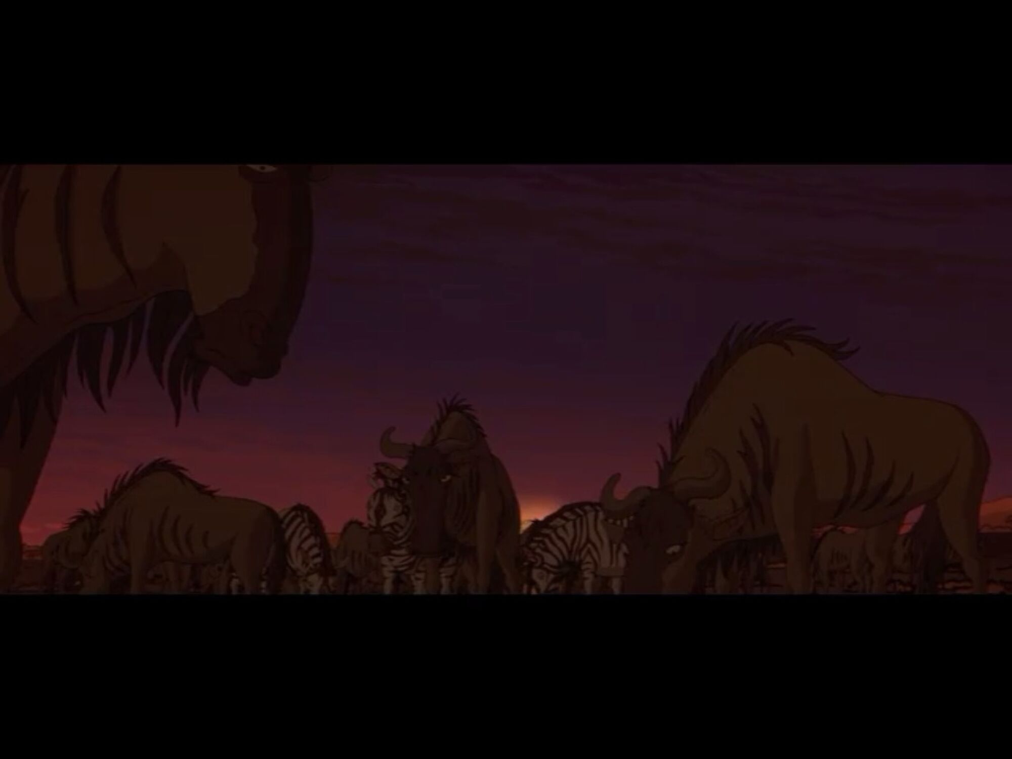 What Does A Wildebeest Eat? (The Answer Will Amaze You!) - gdyxb5n