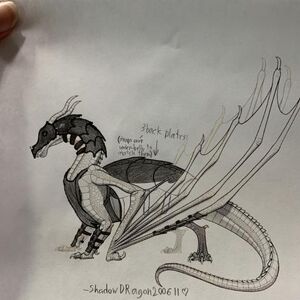 Skywing Armour Wing Of Fire Roblox Wiki Fandom