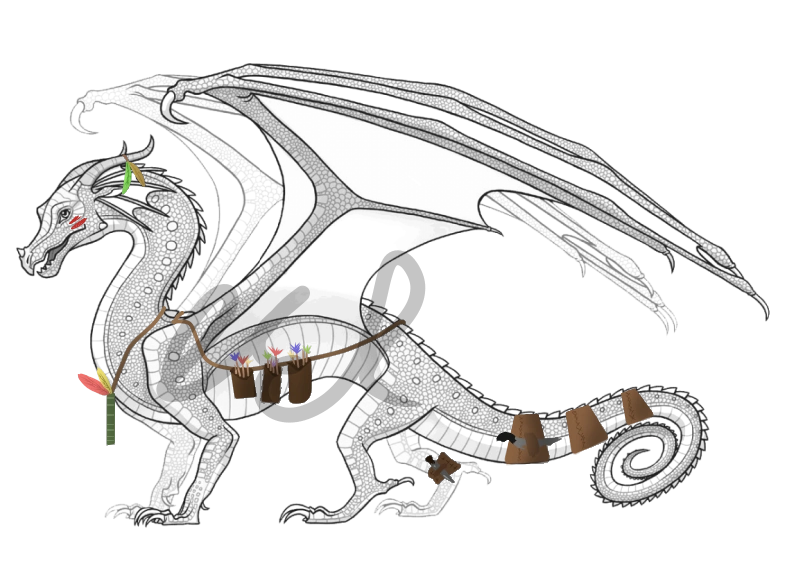 RainWing Armour Wing of Fire ROBLOX Wiki Fandom