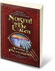 09c youngAdult book
