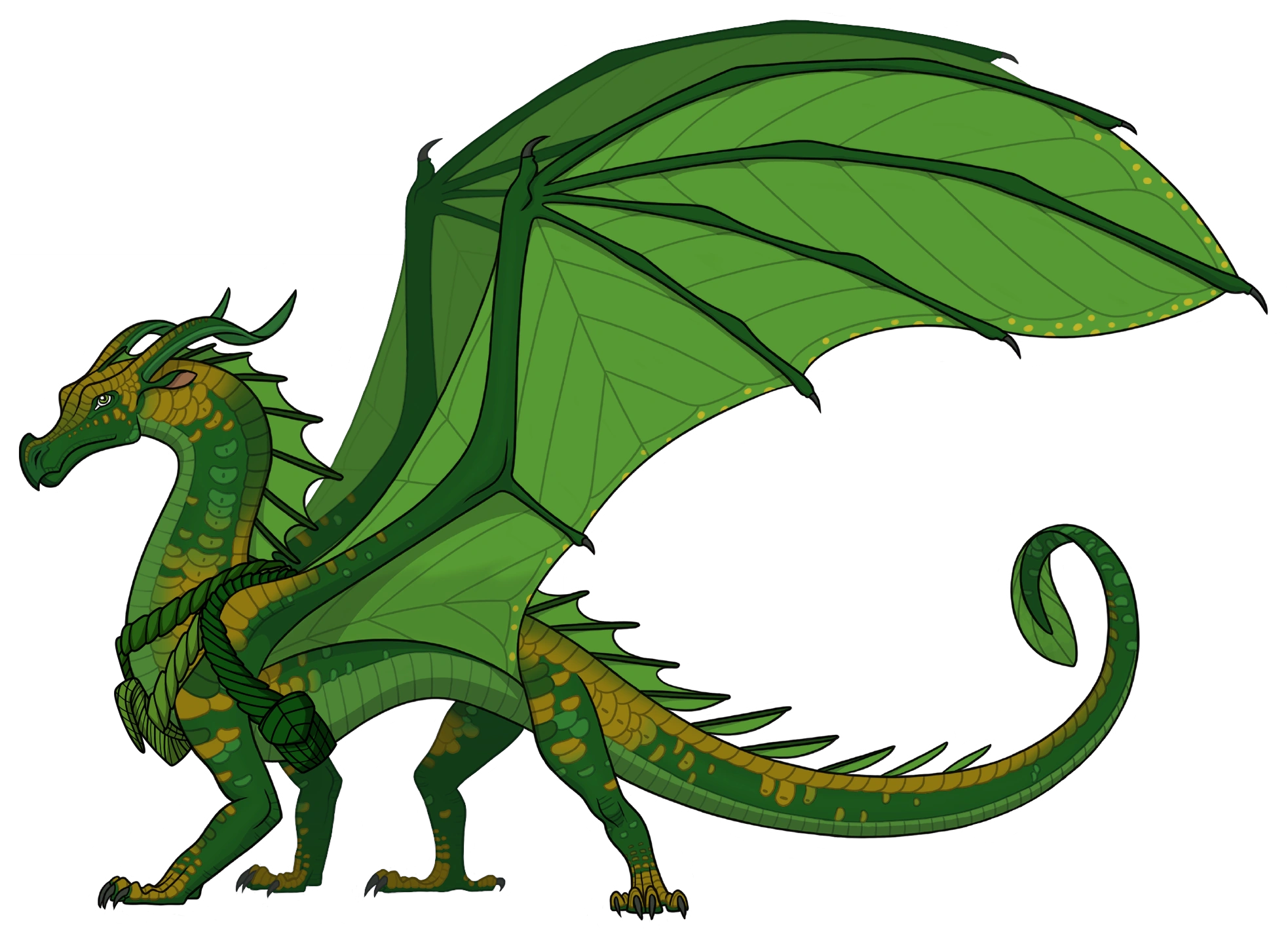 Wings Of Fire Wiki