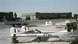 CofW Vampire VV624