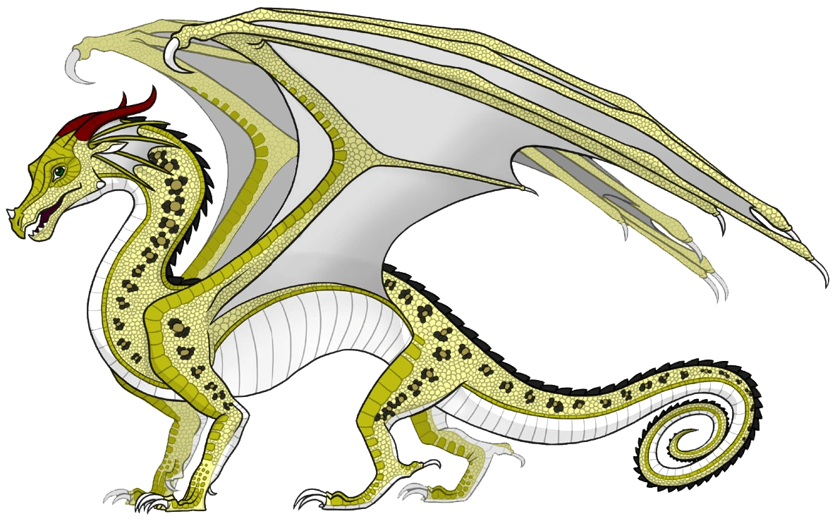 песчаные драконы драконья сага. альбатрос драконья сага. драконья сага земляные драконы. драконьи вики. драконья сага фанон вики.