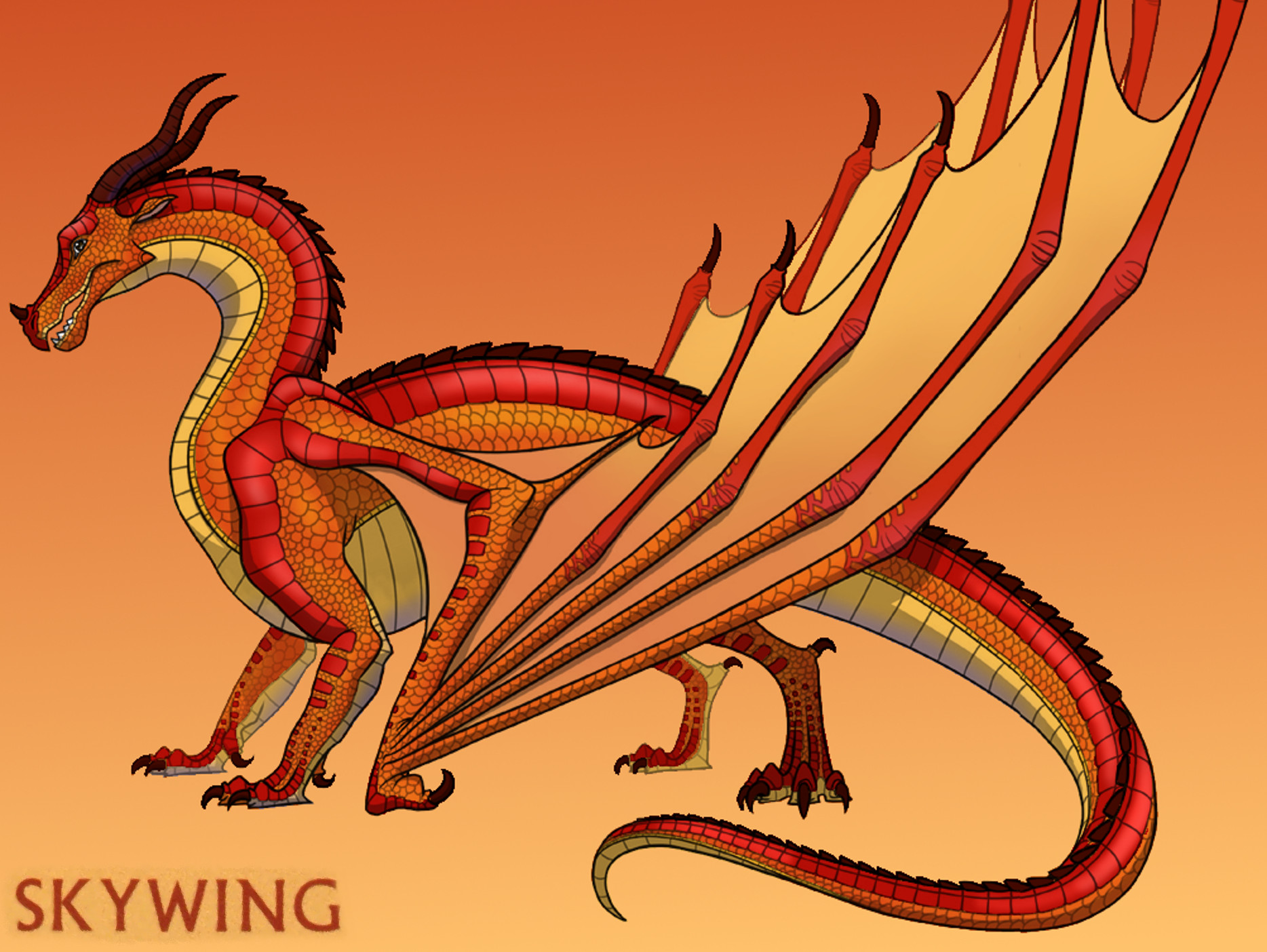 The SkyWing Dragonet | Wings of Fire Wiki | FANDOM powered by Wikia
