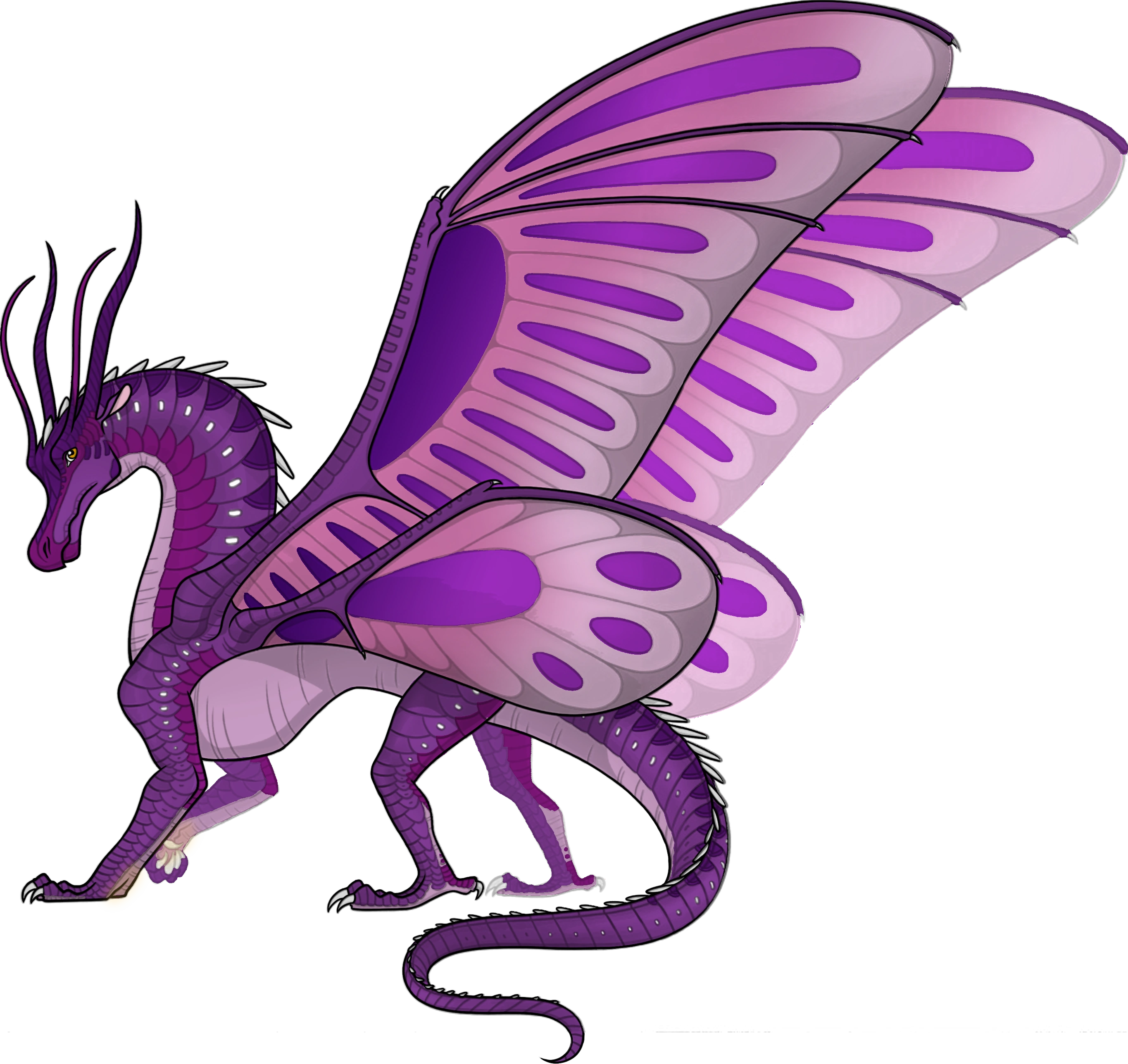 Jewel Academy OPEN STARTED PLZ JOIN! Wings of Fire Wiki Fandom