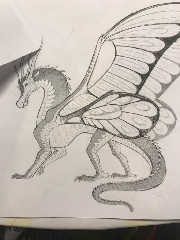 Image - SilkWing by Joy Ang.jpg | Wings of Fire Wiki | FANDOM powered ...