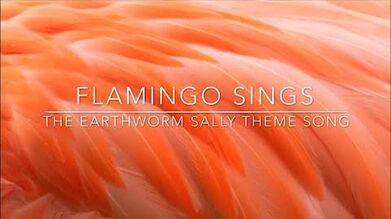 Flamingo Roblox Earthworm Sally Song