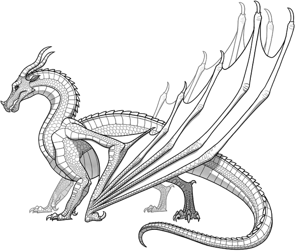 20 Latest Dragon Drawing Wings Of Fire Cine Regard - rainwing palace wings of fire roblox