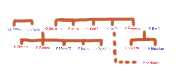 mudwing royalty family tree details to come wings of fire wiki