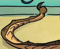 SandTail