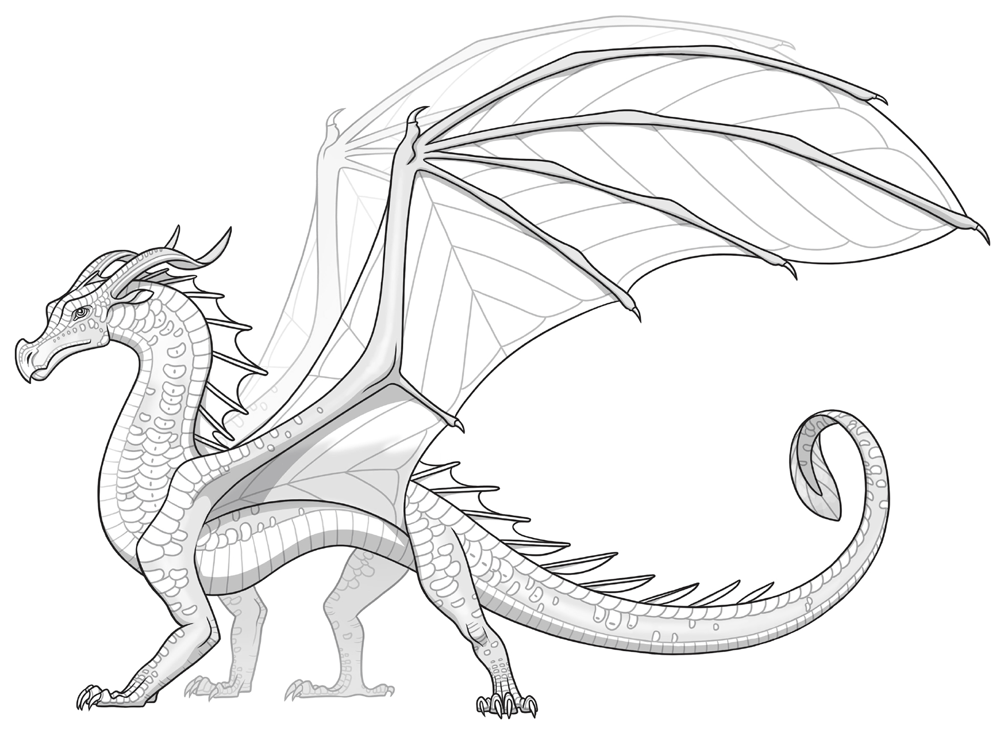 User blogButterflydragon666/How I make my LeafWing BeansA Tutorial