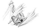 RainWingGer