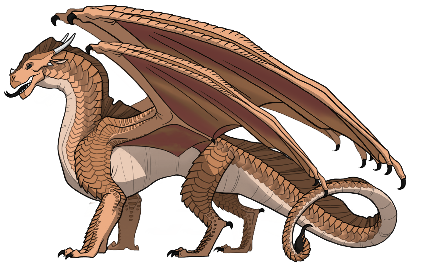 Share Your Ocs Here Wings Of Fire Wiki Fandom