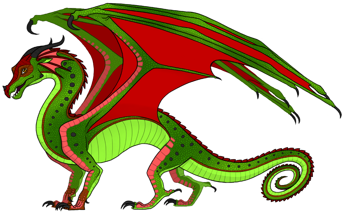 image watermelon template msello png wings of fire wiki fandom