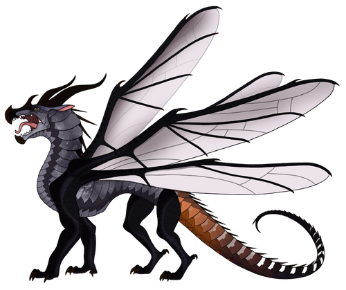 Apis.