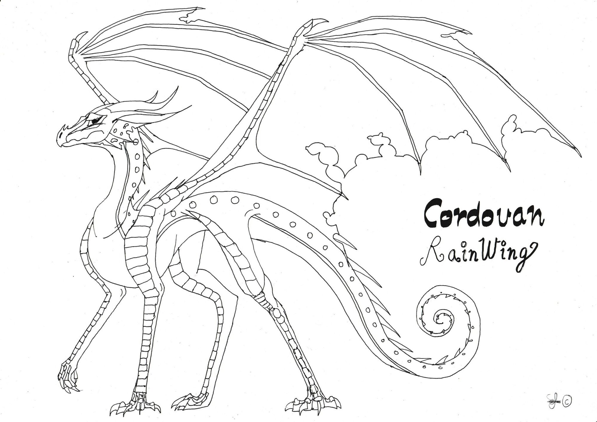 Rainwing Dragon Coloring Page 318+ Popular SVG Design