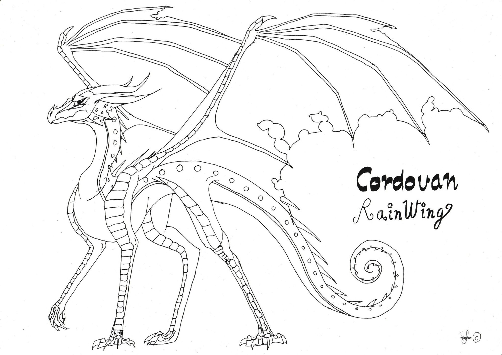 Download Image - Cordovan (RainWing).jpg | Wings of Fire Fanon Wiki ...