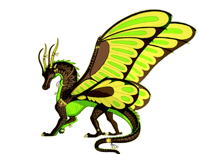 Silkwing OC | Wings of Fire Fanon Wiki | FANDOM powered by Wikia