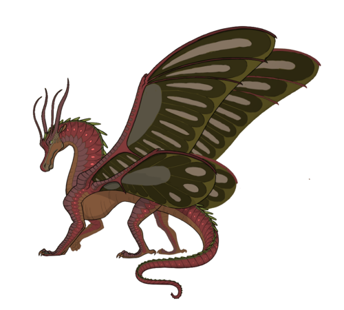 Mayflythegrump