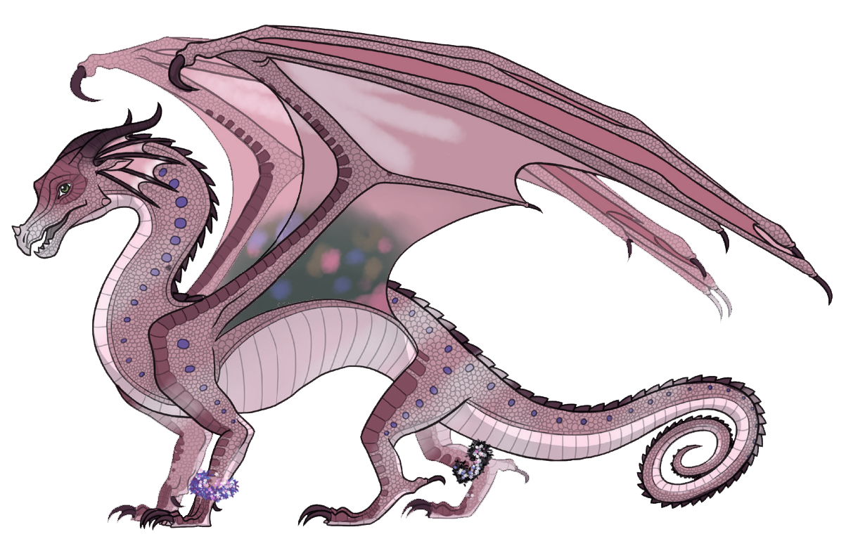 User Blogsunsettheskywing0w0custom Ref Requests Wings Of Fire Fanon