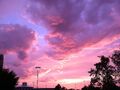 Pinksunsets