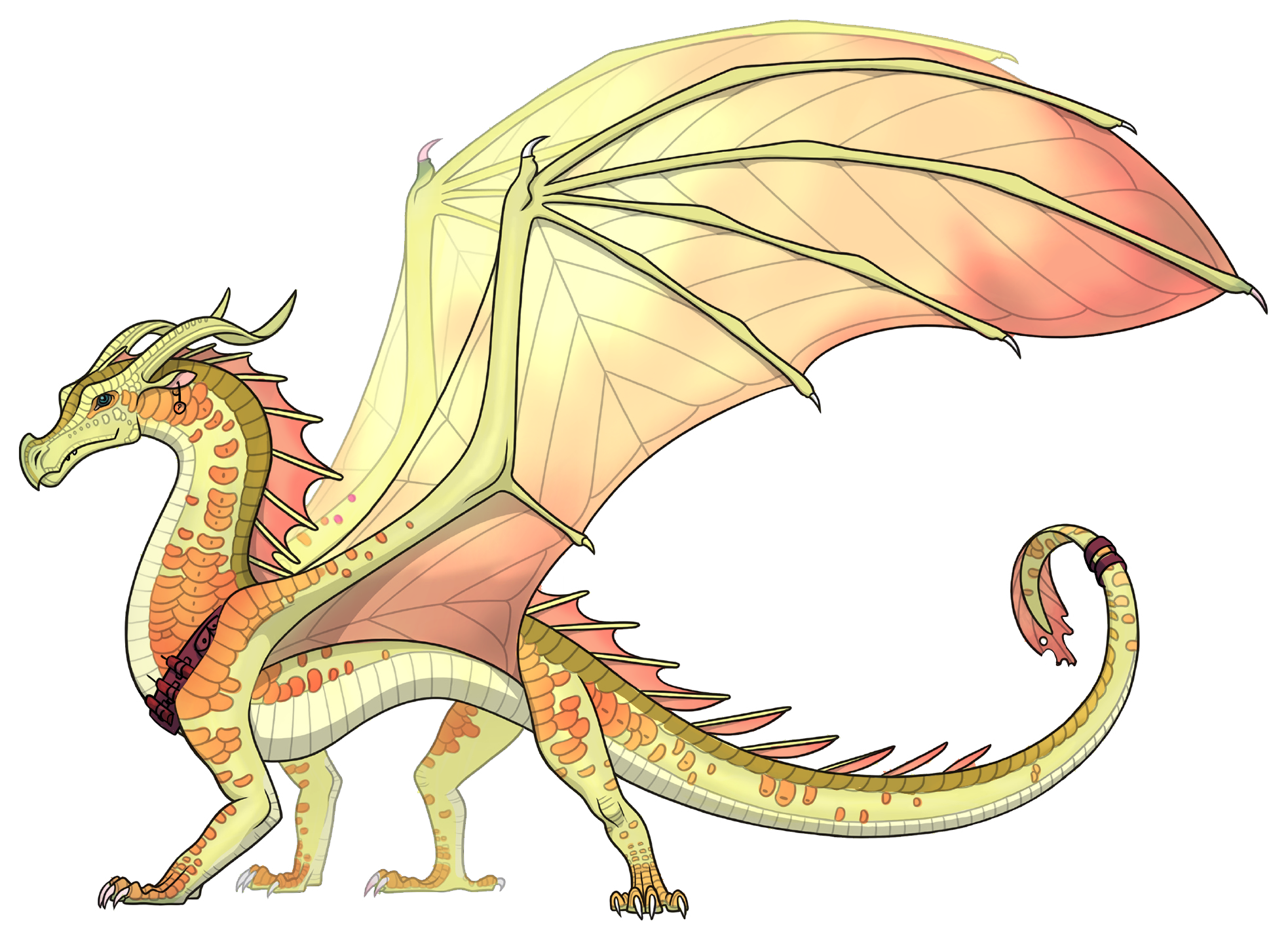 Wings of Fire Ruby. Wings of Fire Wiki. Wings of Fire Dragon Generator. Wings of Fire Serial.