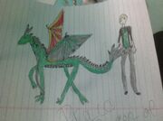 Draco-new-look