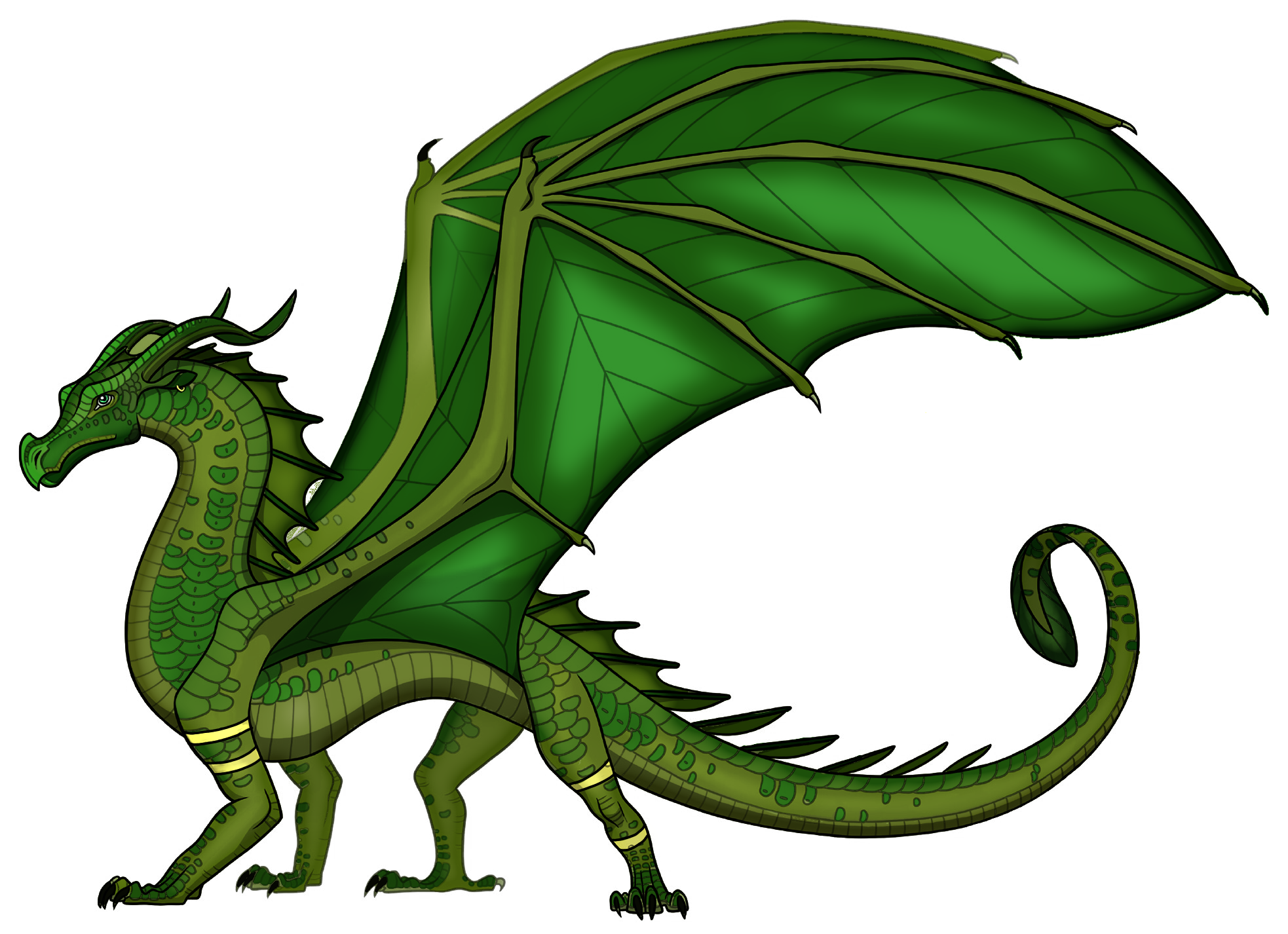 wings of fire images