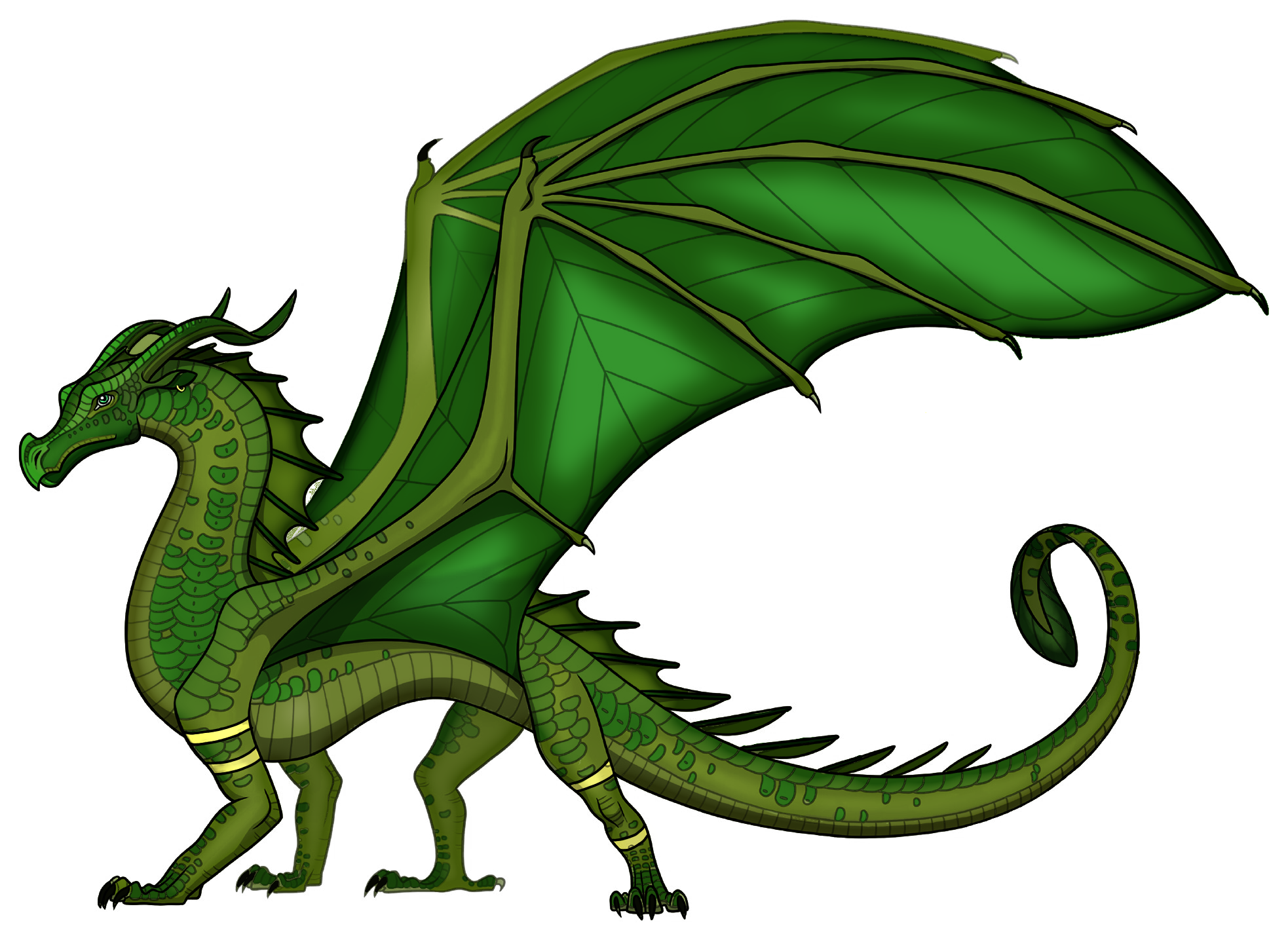 Asiatic Wings of Fire Fanon Wiki Fandom