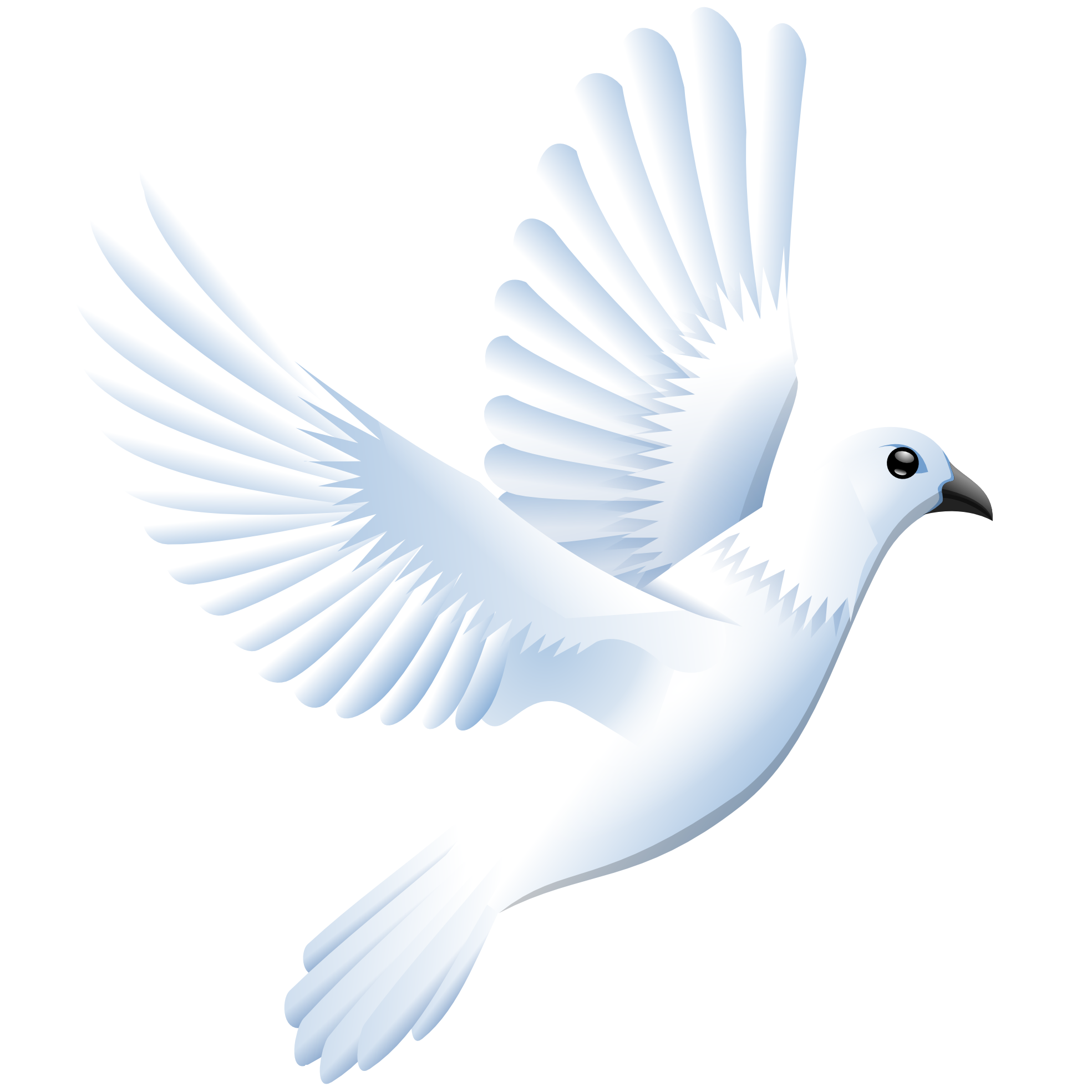 image dove images png 16 png wings of fire fanon wiki fandom