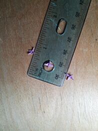 IncrediblyTinyCranes(2)