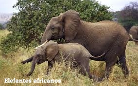 Images (15) (1)