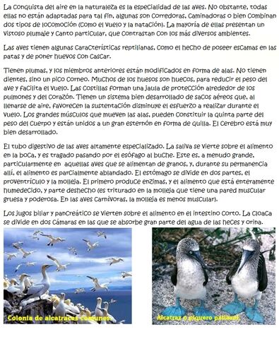 Archivo:Images (13).jpg