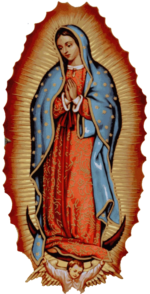 Imagen K471262Virgen de Guadalupe.png Wiki Winner FANDOM