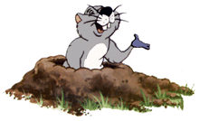 Gofer