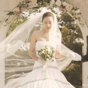 Joonsang And Yoo Jin Wedding For Winter Sonata Anime Winter Sonata Wiki Fandom