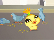 ChickoT4