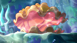 Shimmering shell