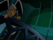 Crow raven