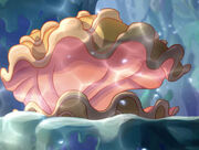 Shimmering-shells