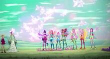 Winx-7x03-7