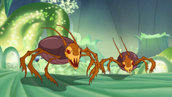 Plant mites
