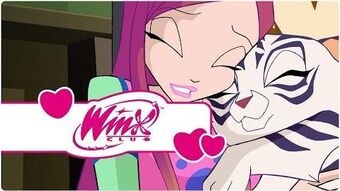 7 Numărul Perfect Winx Club Wiki Fandom