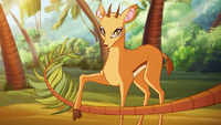 Antelope