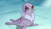 KalsharaFocaT7