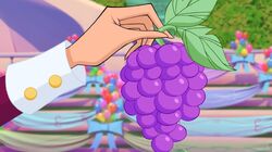 Moon Fruit
