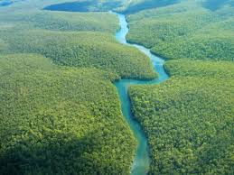 Amazonia