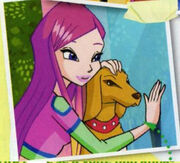 Roxy 4ª Temporada