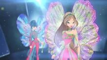 7d7fb7177bc6c4e877a605b4e7cdf1154fc4fc5f-0